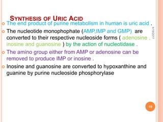 Urea and Uric acid | PPT