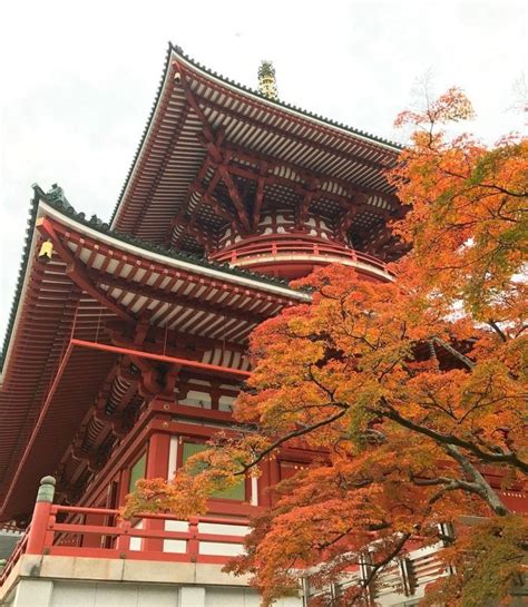 5 Incredible Things to Do in Narita, Gateway to Japan – TravelMamas.com