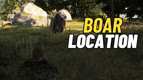 Bellwright Boar Location YouTube