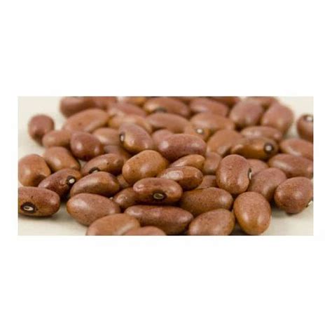 Lobia Beans at best price in Mysore by A.V.S. Enterprises | ID: 4780661030