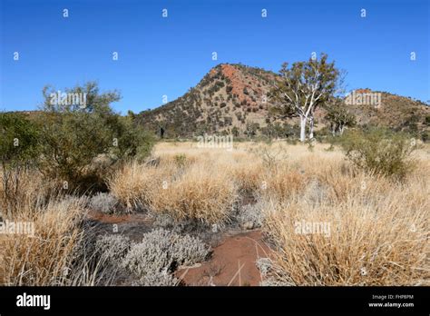 Larapinta Drive West Macdonnell Ranges Northern Territory Nt