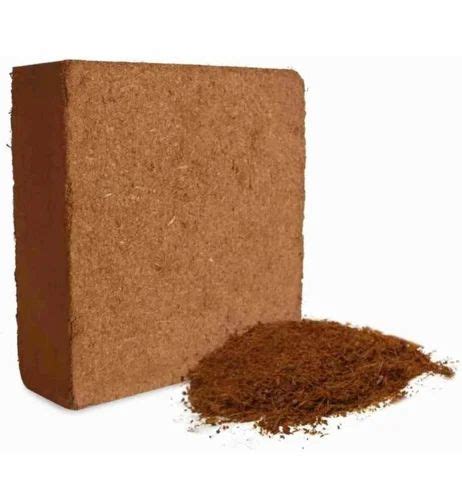 Natural Square Good Quality Sterile Cocopeat Packaging Type Gunny Bag