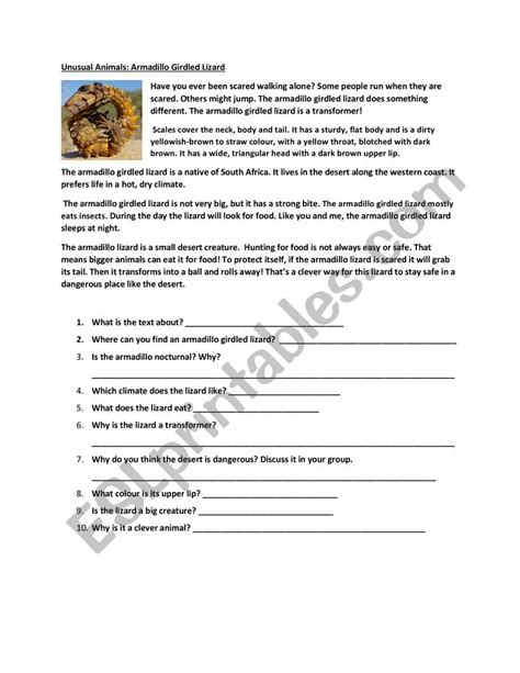 Reading Elementary - ESL worksheet by belinds50