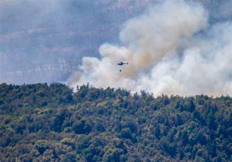 El incendio en el parque nacional argentino de Los Alerces deja más de