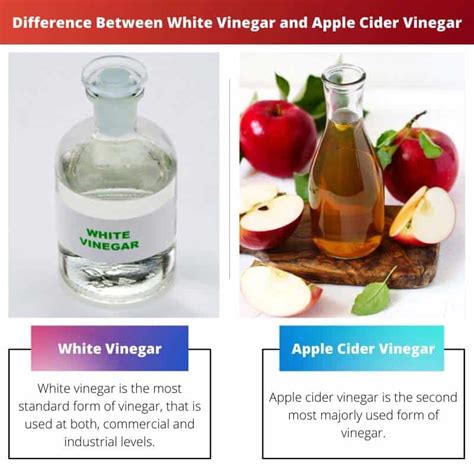 White Vs Apple Cider Vinegar Difference And Comparison