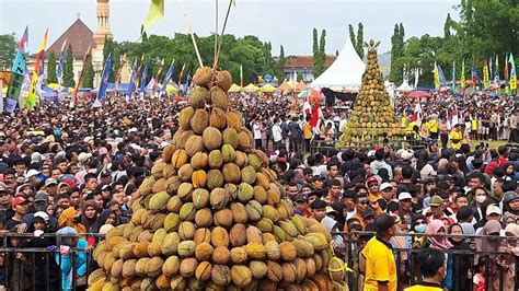 Surganya Durian Inilah 10 Daerah Penghasil Buah Durian Terbanyak Di