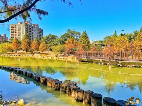 高雄市區最美落羽松景緻，凹子底公園，湖泊倒影、療癒美景 跟著尼力吃喝玩樂＆親子生活