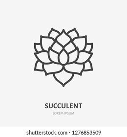 Succulent Outline Royalty Free Images Stock Photos Pictures