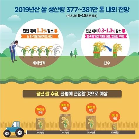 태풍 미탁 앞두고링링·타파로 올 쌀 생산량 6만~10만t 감소 네이트 뉴스