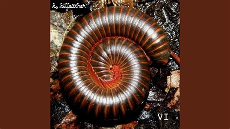 Gay Sex Club YouTube