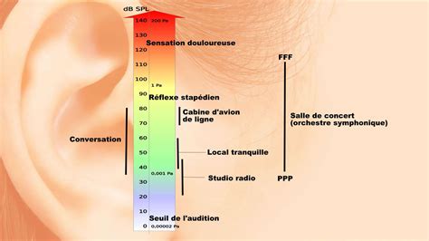 Échelle des niveaux sonores Photos Futura