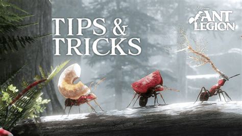 Tips Tricks To Playing Ant Legion For The Swarm Bluestacks