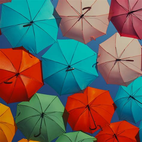 Colorful Umbrella Wallpaper