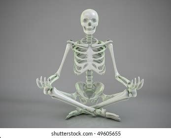 3d Skeleton Sitting Yoga Pose Stock Illustration 49605655 | Shutterstock