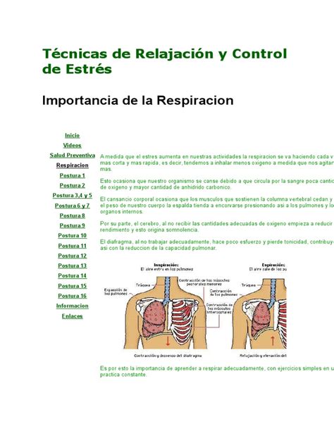 PDF Técnicas de Relajación y Control de Estrés DOKUMEN TIPS