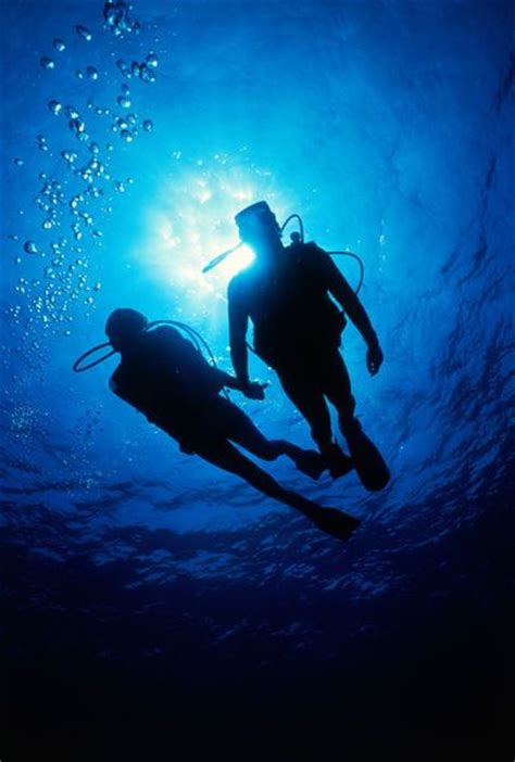 A Couple Holding Hands While Scuba Diving Scuba Diving 11826 Hot Sex Picture