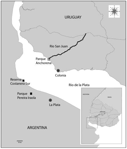 Inactivo zapatilla notificación mapa costero de argentina incrementar