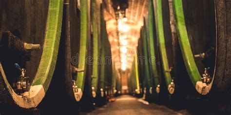 Wine In Wooden Barrels Is Stored Wine Cellar Stock Image Image Of