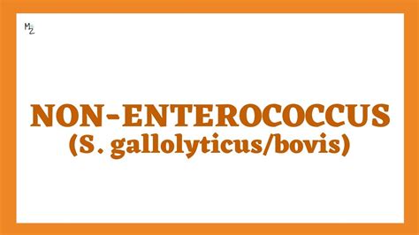 Non Enterococcus S Gallolyticus Or Bovis Group D γ Hemolytic