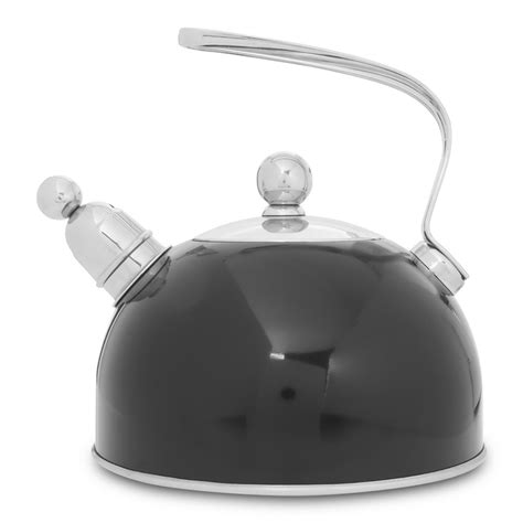 Home Evolution Stove Top Kettle Black