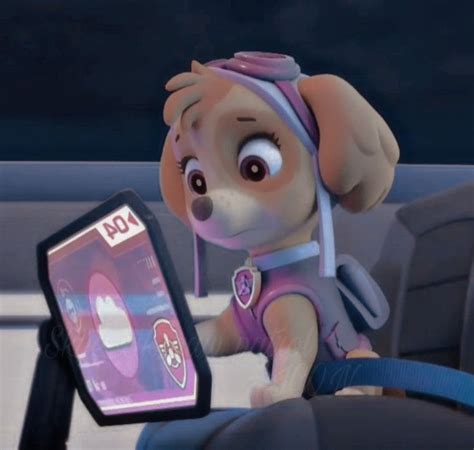 Icon Skye Paw Patrol En 2022 Patrulla De Cachorros Cachorros