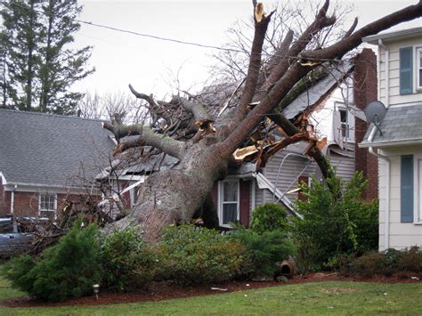 How To File A Roof Damage Insurance Claim