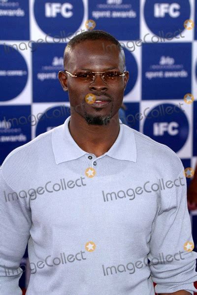 Photos And Pictures Djimon Hounsou At The 2004 IFP Independent Spirit