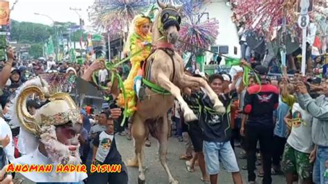 Macet Total Arak Arakan Naik Kuda Jingkrak Atraksinya Bikin Heboh