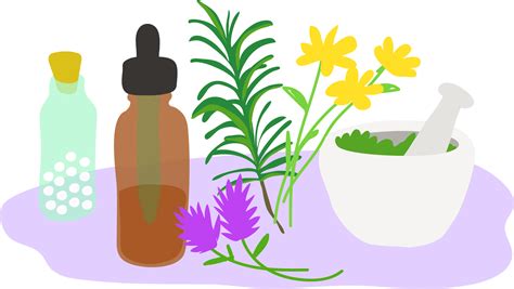 Download Oil Clipart Aromatherapy - Essential Oils Clipart Png ...