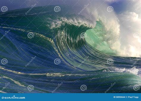 Big Ocean Wave in Hawaii stock photo. Image of pacific - 8890664