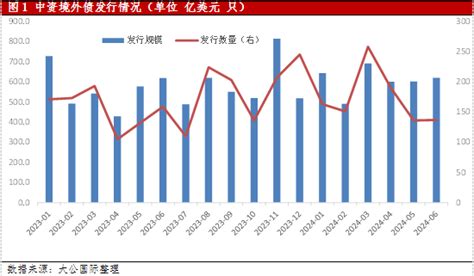 大公国际：2024年中资境外债中期回顾与展望