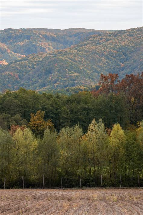 Galerija Slika Slavonija I Podravina Otkrivamo Najljep E Tajne