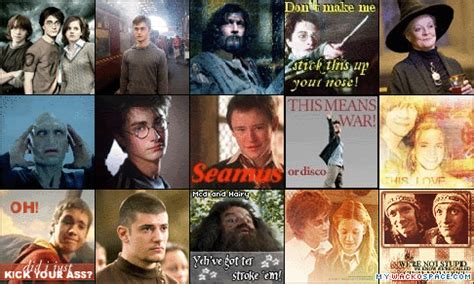 Potter characters collage 2 - Harry Potter Photo (19563251) - Fanpop