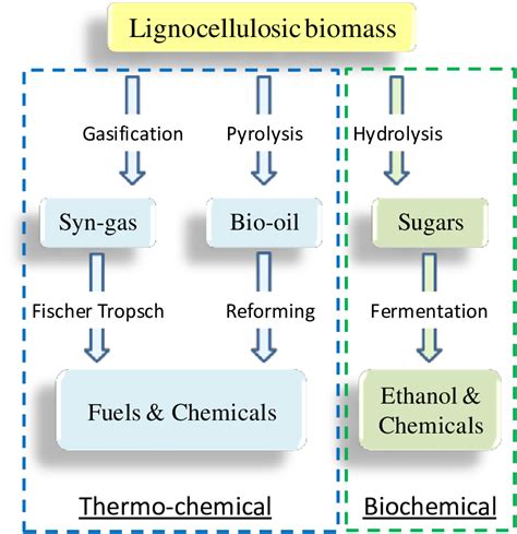 17 Biochemical And Thermochemical Routes For The Conversion Of Download Scientific Diagram