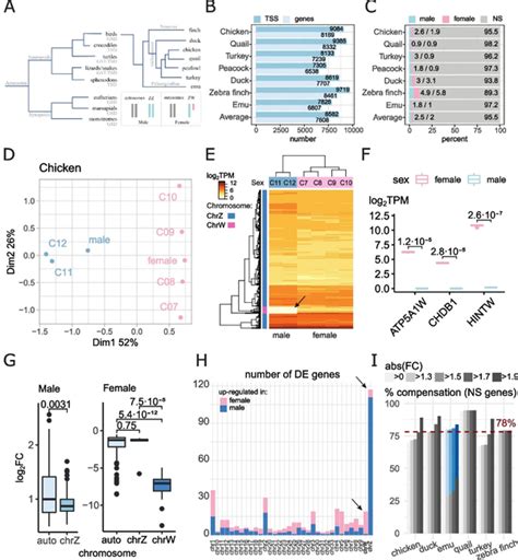 PublicationsDosage Compensation Of Z Sex Chromosome Genes In Avian