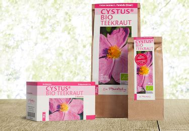 Cystus Bio Teekraut Zistrosentee Cistus Incanus L Pandalis Dr