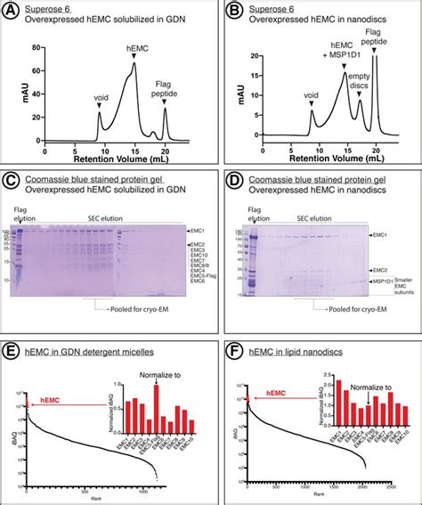 Figures And Data In Structural And Mechanistic Basis Of The EMC