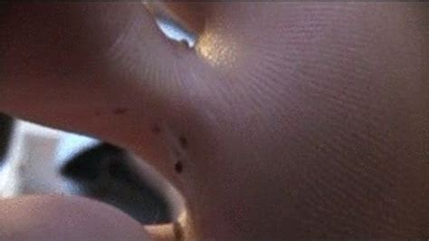 Jam Licker Quicktime Version Brunette Fetish And Fantasy Clips4sale