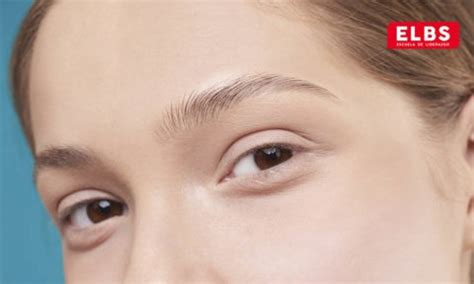 Tipos de cejas Cuántas formas existen Escuela ELBS