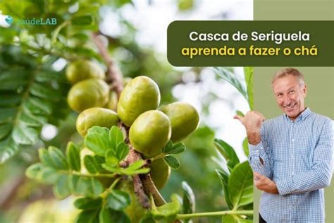 Como Fazer O Chá Da Casca Da Seriguela Saiba Fazer E Aprecie Seus