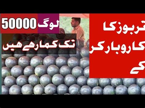 Tarbooz Ka Karobar How To Start Small Business YouTube