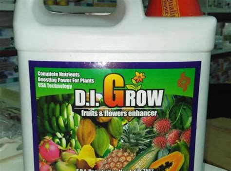 D I Grow Green Red 4 Liters Farmers Market Kenya