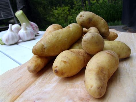 FOOD STYLING AND REAL LIFE: Fingerling Potatoes (Ratte) & Fresh Pink Garlic from Provence ...