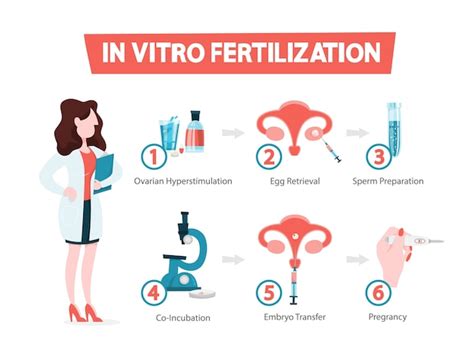 Conceito De Fertilização In Vitro Ideia De Infertilidade Vetor Premium