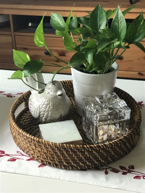 Coffee Table Plants Decor at Mikayla Frost blog