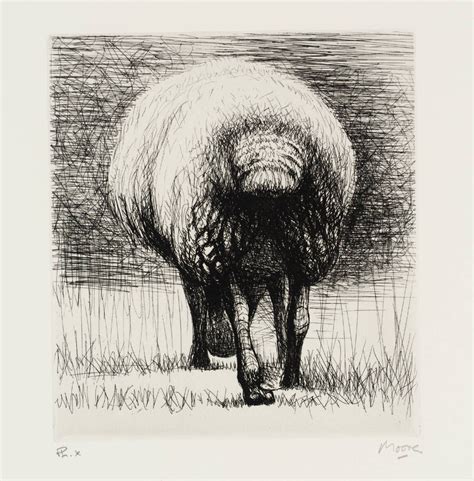 Sheep Back View Henry Moore Om Ch Tate Sheep Drawing Henry