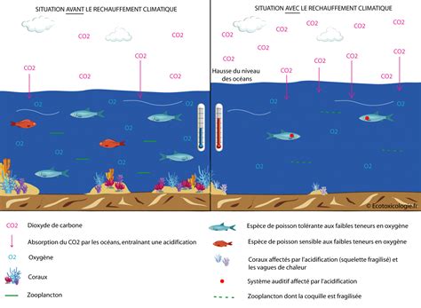 Le changement climatique aggrave l érosion de la biodiversité