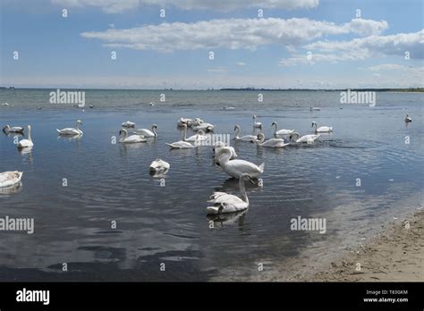 Sopot in poland Stock Photo - Alamy