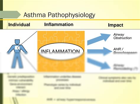 SOLUTION Pathophysiology Of Asthma Studypool