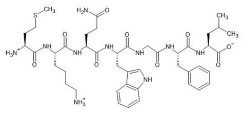 Solved CH3 H2N CH3 CH3 NH NH ΝΗ 0 H3N NH ΝΗ NH NH NH H2N Chegg